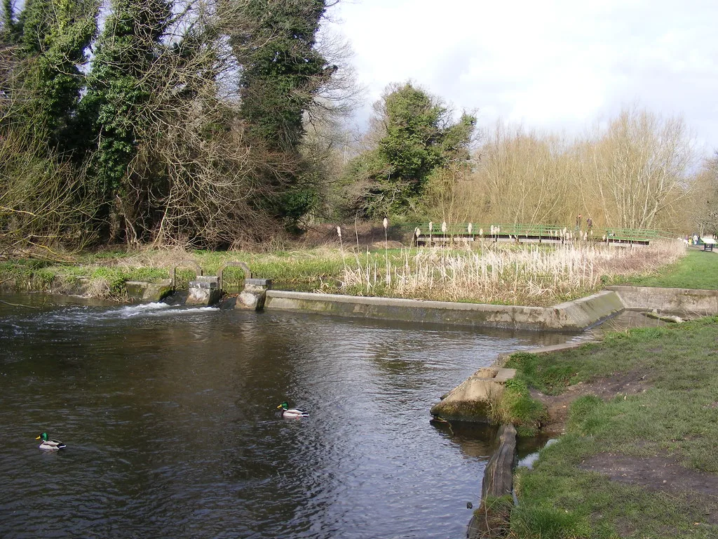 The River Gade in Cassiobury Park, Watford, where the Santa Dash is run