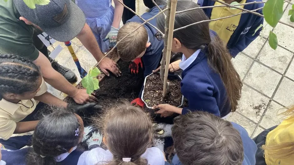 Pupils planting a fruit tree through the Veolia Orchard scheme. The photo comes from Veolia's scheme page and is not of a Watford school